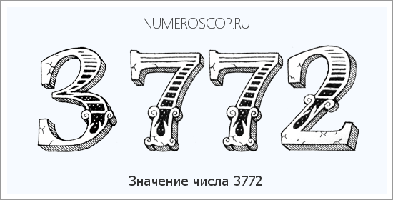 Расшифровка значения числа 3772 по цифрам в нумерологии