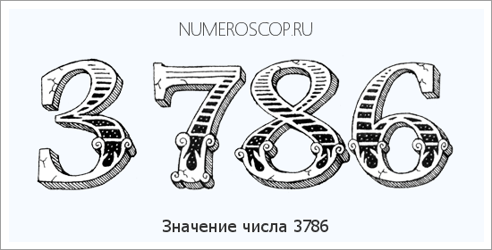 Расшифровка значения числа 3786 по цифрам в нумерологии