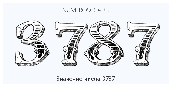 Расшифровка значения числа 3787 по цифрам в нумерологии