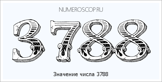 Расшифровка значения числа 3788 по цифрам в нумерологии