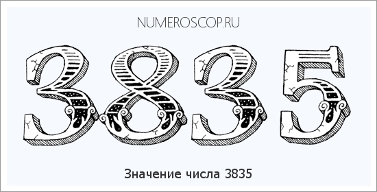 Расшифровка значения числа 3835 по цифрам в нумерологии