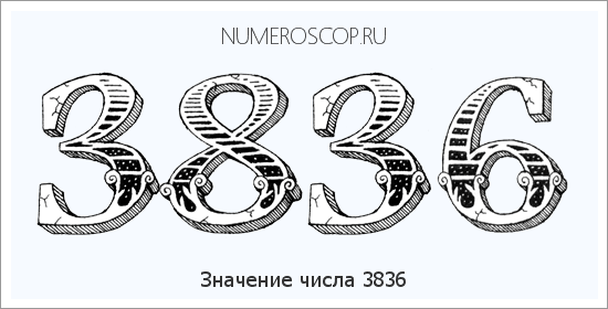Расшифровка значения числа 3836 по цифрам в нумерологии