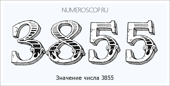 Расшифровка значения числа 3855 по цифрам в нумерологии