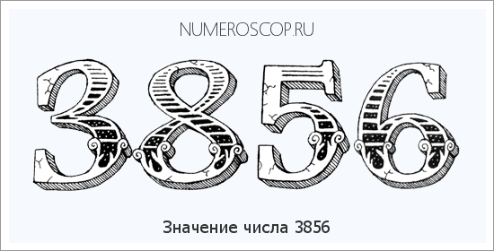 Расшифровка значения числа 3856 по цифрам в нумерологии