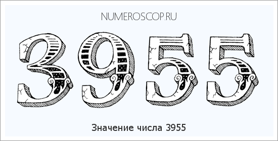 Расшифровка значения числа 3955 по цифрам в нумерологии