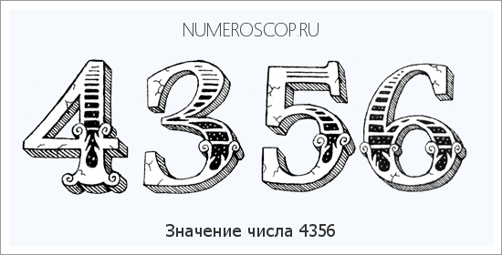 Расшифровка значения числа 4356 по цифрам в нумерологии