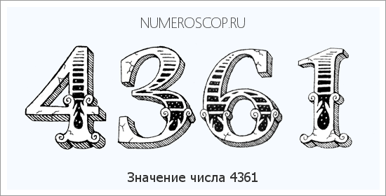 Расшифровка значения числа 4361 по цифрам в нумерологии