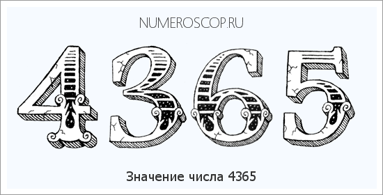 Расшифровка значения числа 4365 по цифрам в нумерологии