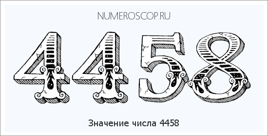 Расшифровка значения числа 4458 по цифрам в нумерологии