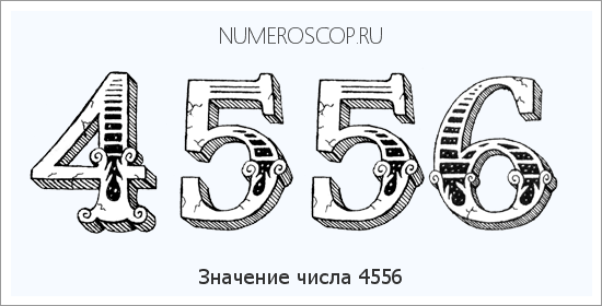 Расшифровка значения числа 4556 по цифрам в нумерологии
