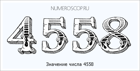 Расшифровка значения числа 4558 по цифрам в нумерологии