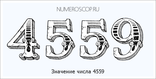 Расшифровка значения числа 4559 по цифрам в нумерологии