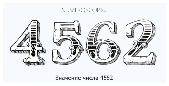 Расшифровка значения числа 4562 по цифрам в нумерологии