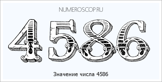 Расшифровка значения числа 4586 по цифрам в нумерологии