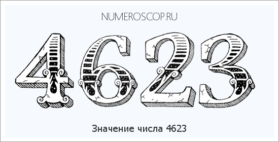 Расшифровка значения числа 4623 по цифрам в нумерологии