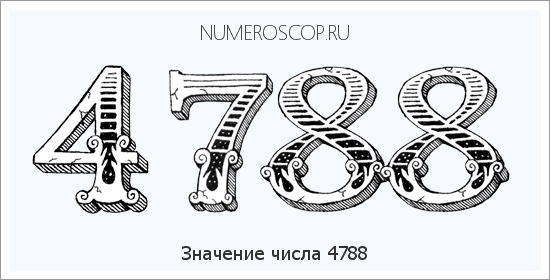 Расшифровка значения числа 4788 по цифрам в нумерологии