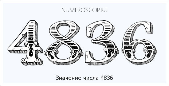 Расшифровка значения числа 4836 по цифрам в нумерологии