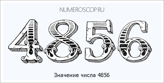 Расшифровка значения числа 4856 по цифрам в нумерологии