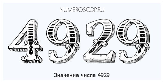 Расшифровка значения числа 4929 по цифрам в нумерологии