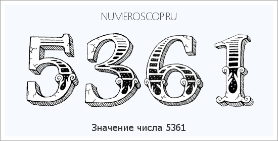 Расшифровка значения числа 5361 по цифрам в нумерологии