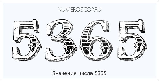 Расшифровка значения числа 5365 по цифрам в нумерологии