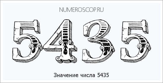 Расшифровка значения числа 5435 по цифрам в нумерологии