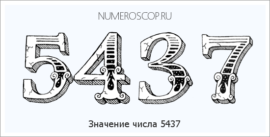 Расшифровка значения числа 5437 по цифрам в нумерологии