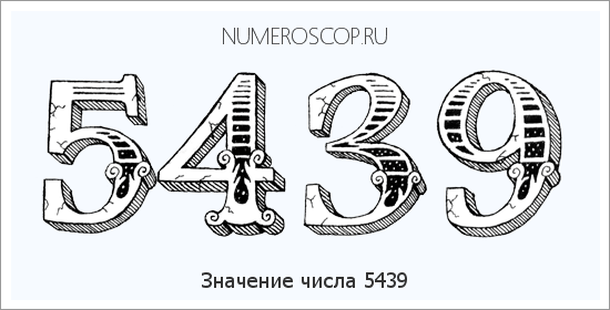 Расшифровка значения числа 5439 по цифрам в нумерологии