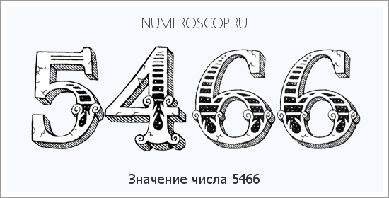 Расшифровка значения числа 5466 по цифрам в нумерологии