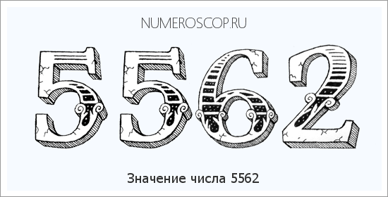 Расшифровка значения числа 5562 по цифрам в нумерологии