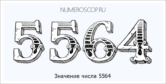 Расшифровка значения числа 5564 по цифрам в нумерологии
