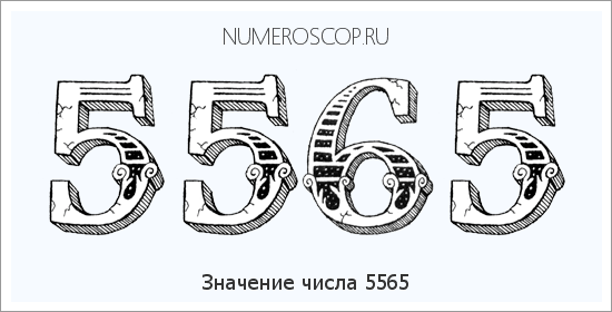 Расшифровка значения числа 5565 по цифрам в нумерологии