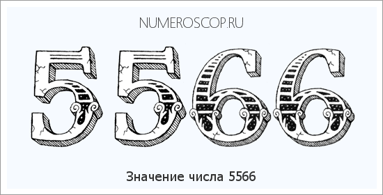 Расшифровка значения числа 5566 по цифрам в нумерологии