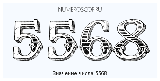 Расшифровка значения числа 5568 по цифрам в нумерологии