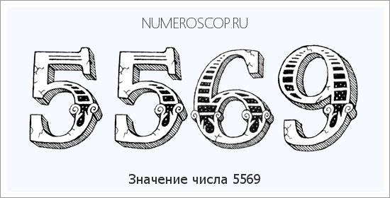 Расшифровка значения числа 5569 по цифрам в нумерологии