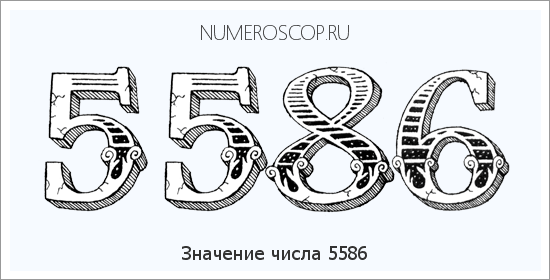 Расшифровка значения числа 5586 по цифрам в нумерологии