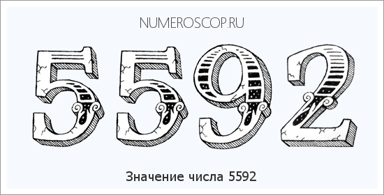Расшифровка значения числа 5592 по цифрам в нумерологии