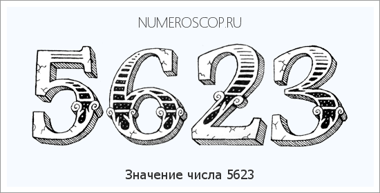 Расшифровка значения числа 5623 по цифрам в нумерологии
