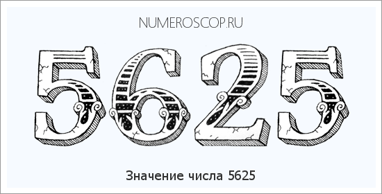 Расшифровка значения числа 5625 по цифрам в нумерологии