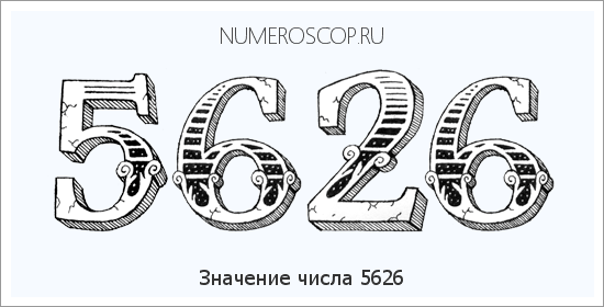 Расшифровка значения числа 5626 по цифрам в нумерологии