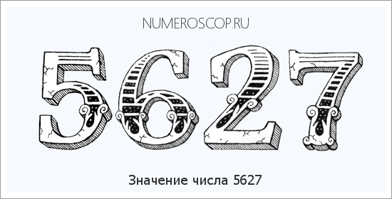 Расшифровка значения числа 5627 по цифрам в нумерологии