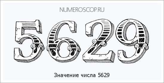 Расшифровка значения числа 5629 по цифрам в нумерологии