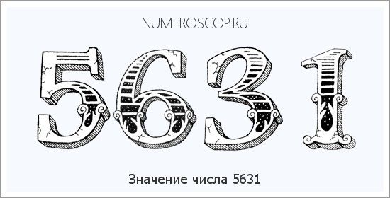 Расшифровка значения числа 5631 по цифрам в нумерологии