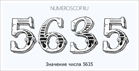 Расшифровка значения числа 5635 по цифрам в нумерологии