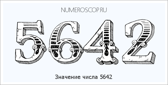 Расшифровка значения числа 5642 по цифрам в нумерологии