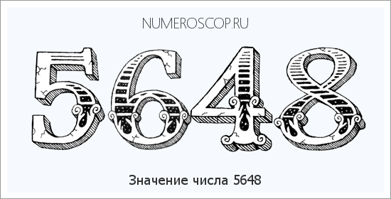 Расшифровка значения числа 5648 по цифрам в нумерологии