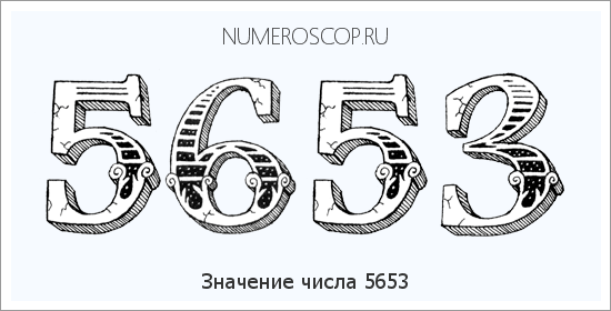 Расшифровка значения числа 5653 по цифрам в нумерологии