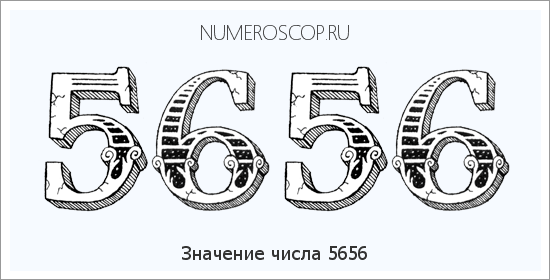 Расшифровка значения числа 5656 по цифрам в нумерологии
