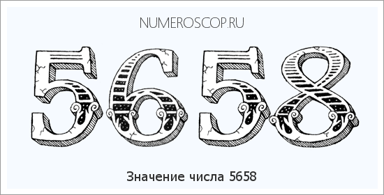 Расшифровка значения числа 5658 по цифрам в нумерологии