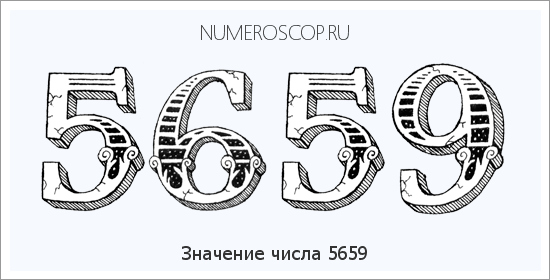 Расшифровка значения числа 5659 по цифрам в нумерологии